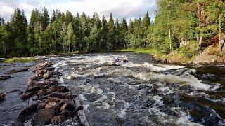 Северная Карелия. Река Кереть. Порог Мураш.