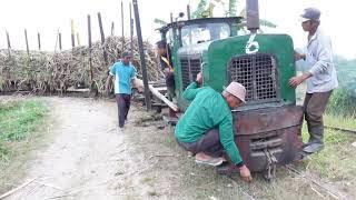 MINGGU SORE MELIHAT LOKOMOTIF SCHOMA DI KEBUN SUKORENO