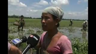 New Assamese funny viral video 2017