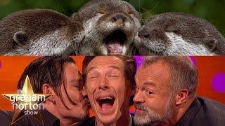 Benedict Cumberbatch Johnny Depp and Graham Take Otter Photos - The Graham Norton Show