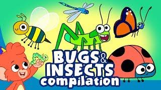 Learn Insects and Bugs for Kids  Cute Insect a to z Cartoon Compilation  Club Baboo