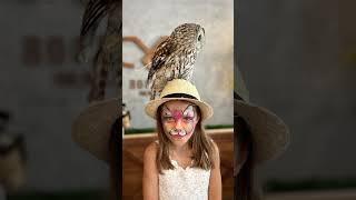 Sofias Owl Café Adventure Birthday Surprise in Abu Dhabi