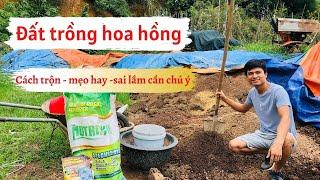 Tiết lộ 5 công thức trộn đất trồng hoa hồng giúp cây hoa hồng sinh trưởng tốt