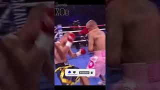 MAGNIFICENT Right Hand Knockout In Boxing  TheNoDollar #knockout #shorts #ko #mma #ufc #boxing