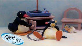 Best Episodes from Season 1  Pingu - Official Channel  Cartoons For Kids