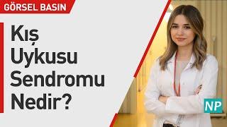 Kış Uykusu Sendromu Nedir?