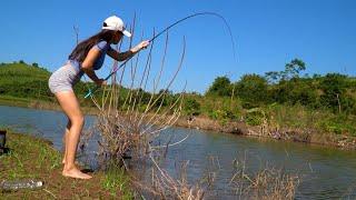 Best Video Hook Fishing. Catching the Flock of Tilapia and Speed Fish