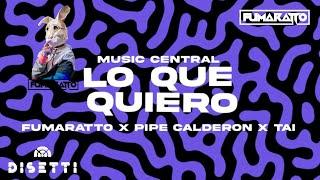 Fumaratto - Lo Que Quiero Ft. Pipe Calderon & Tai Guaracha Video Lirycs