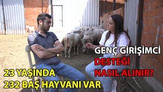 23 Yaşında 232 HAYVAN SAHİBİ OLDU Genç Girişimci Desteği Nasıl Alınır?