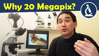 Why 20 megapixels if 5 are enough?