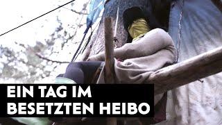 Ein Tag lang mit Waldbesetzern im „Heibo“ in Sachsen