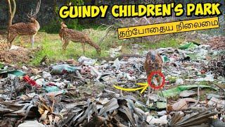 Guindy National Park visit with Family  Childrens Park Vlog  Chennai Snake Park