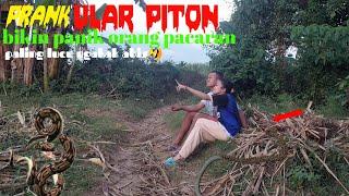 Vidio lucu PRANK ULAR PITON bikin kaget orang lagi pacaran  paling lucu  funniest snake prank