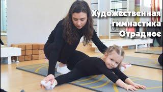 Художественная гимнастика в Москве Отрадное