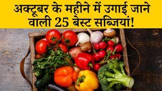 गमले में अक्टूबर के महीने में उगाई जाने वाली सब्जियां  Best Vegetables To Grow In October Month