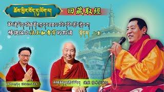 ཆོས་ཕྱིར་བོད་དུ་ལོག་པ། ཆོས་རྗེ་ཡིད་བཞིན་ནོར་བུ་དང་མཇལ་བའི་དངོས་མྱོང་གླེང་བ།暢談依止法王如意寶的點滴