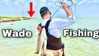 WADE FISHING the Texas City Dike for SPECKLED TROUT Catch and Cook