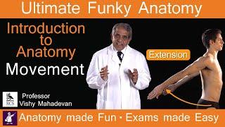 Introduction to Anatomy - Movement.  Anatomy made Fun. Exams made Easy