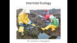 Marine Ecology Lecture- Intertidal Ecology