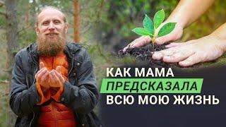 Какие «деревья» я обычно сажаю? Мама давно предсказала всю мою жизнь.