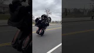 Fully dressed Harley Bagger Does a Wheelie