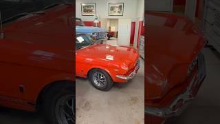 Have you ever seen a Orange Mustang? Full Video 