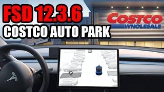 Tesla FSD 12.3.6 - The Ultimate Auto Park Test