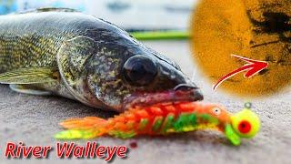 How to use Side Imaging to Find River Walleye Garmin SideVu