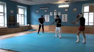 Wing Chun vs Karate & kiсk-boxing