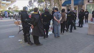 Police dismantle UC San Diego encampment arrest protestors on campus