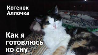 Котенок Аллочка - Как я готовлюсь ко сну