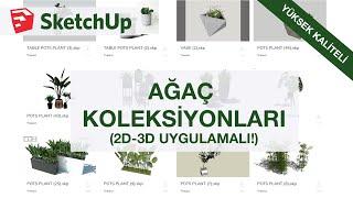 Yüksek Kaliteli Ağaçlar ve 2D Ağaç Koleksiyonları Uygulamalı Kasmadan