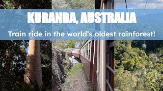 Kuranda Scenic Railway  Train ride inside a rainforest  Things to do in Cairns 