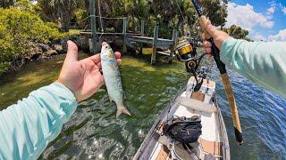 Fishing Florida Saltwater Residential Docks with Live Mullet