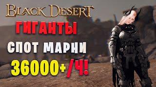 Гиганты спот марни 36000+  Страж в Наследии Giants Guardian Black Desert