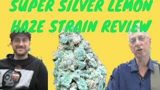 Super Lemon Haze Cannabis Strain Review