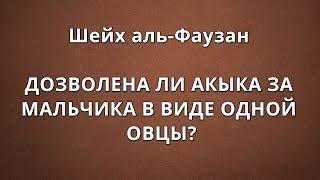 Шейх аль-Фаузан - ДОЗВОЛЕНА ЛИ АКЫКА ЗА МАЛЬЧИКА В ВИДЕ ОДНОЙ ОВЦЫ?