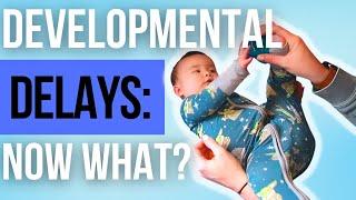 BABY DEVELOPMENTAL DELAYS WHAT NOW?  Step-by-Step Guide for Getting Support for Your Baby 2022