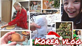 Рождество в Корее  День первый  KOREA VLOG