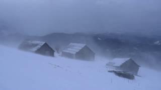  Winter Storm Ambience with Icy Howling Wind Sounds for Sleeping Relaxing and Studying Background.