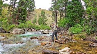 Fly Fishing the most INCREDIBLE Stream in Wyoming  - Fly Fishing Wyoming part 3