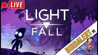 LIGHT FALL STREAM - Live Gameplay  Charity Donations  Birdalert NEW