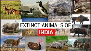 EXTINCT ANIMALS OF INDIA  SIMBEN