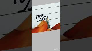 How to write Tara in cursive handwriting