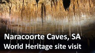 Naracoorte Caves South Australia  World Heritage site visit