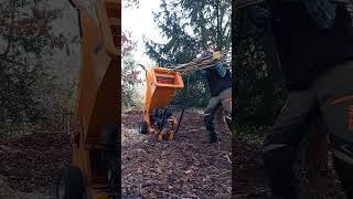 Chip it and reuse it free mulch #gardening #mulch #woodchipper