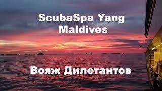 Dive-safari in Maldives on board of ScubaSpa Yang - short preview trailer