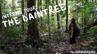 Intrepid 5 Day Daintree Retreat