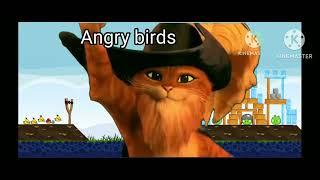 angry birds removal in a nutshell