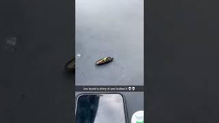 bro found a shiny irl  #memes #shortsviral #foryou #funnymemes #tiktokmemes